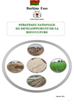 Stratégie-nationale-de-développement-de-la-riziculture