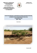 PLAN D’ACTIONS DE LA STRATEGIE NATIONALE DE CONSERVATION ET RECUPERATION DES SOLS AU BURKINA FASO 2020-2022