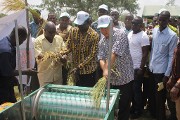 Projet Riz Pluvial au Burkina La Chine Taïwan encourage les producteurs de Koumséogo
