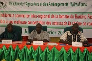 Commercialisation de la tomate au Burkina Faso : Les acteurs de la filière accordent leur violon