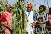 Agriculture bio: Le Larlé Naaba montre la voie