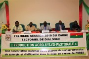 Production agro-sylvo-pastorale : la mise en œuvre du PNDES au cours de l’année 2018 examinée