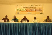 Coordination des interprofessions de riz de l’Afrique de l’Ouest : pour une meilleure structuration de la filière