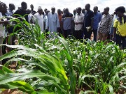 Campagne agricole dans le Sahel : Le ministre Salifou OUEDRAOGO salue la résilience des producteurs