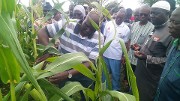 Campagne agricole 2019-2020 : une situation satisfaisante dans le Plateau-Central
