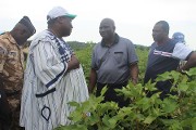 Campagne agricole dans les Hauts-Bassins :  Le ministre Salifou OUEDRAOGO confiant pour une bonne saison