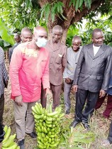 Campagne de production de bananes : le ministre Salifou OUÉDRAOGO lance les opérations à Fara dans les Balé