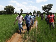 Campagne agricole dans la région des Hauts-Bassins: Les acteurs mobilisés autour de l’Initiative présidentielle « Produire un million de tonnes de riz d’ici à 2021