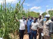 Campagne agricole dans la région du Sahel : le ministre Salifou OUÉDRAOGO satisfait de l’adoption des techniques de résilience par les producteurs