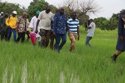 Suivi de la campagne agricole : le ministre Salifou OUÉDRAOGO a bouclé sa tournée dans les treize régions du pays