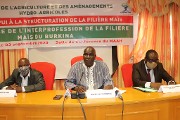 Filière maïs au Burkina : une interprofession pour mieux relever les défis