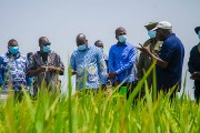 L'ancien Premier ministre éthiopien, S.E.M. Dessalegn, satisfait des investissements du Burkina Faso dans la recherche sur les semences de riz et la transformation alimentaire