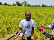 Initiative présidentielle: "Produire un million de tonnes de riz "  Les producteurs reconnaissants pour les appuis reçus