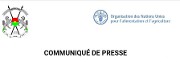 Communiqué de Presse : La FAO et le Burkina Faso consolident leur coopération pour améliorer les politiques agricoles et alimentaires