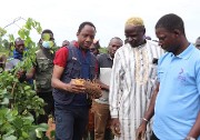 Campagne agropastorale dans la région du Centre-Ouest  : le ministre Delwendé Innocent KIBA satisfait des options stratégiques opérées par les producteurs
