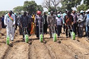 Campagne agropastorale de saison sèche : une batterie de mesures pour l’intensification de l’agriculture irriguée et la protection sanitaire du cheptel