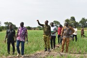 Campagne agropastorale 2023-2024: Le ministre Ismaël SOMBIE visite le bas-fond rizicole de Gnaonè, dans la Commune de Dissinh dans le IOBA