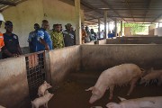 Promotion de l’Entreprenariat agropastoral: La ferme agropastorale Bafoussou reçoit la visite du ministre SOMBIE