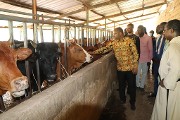 Production animale : le ministre Amadou DICKO encourage les acteurs de la chaîne à Koubri
