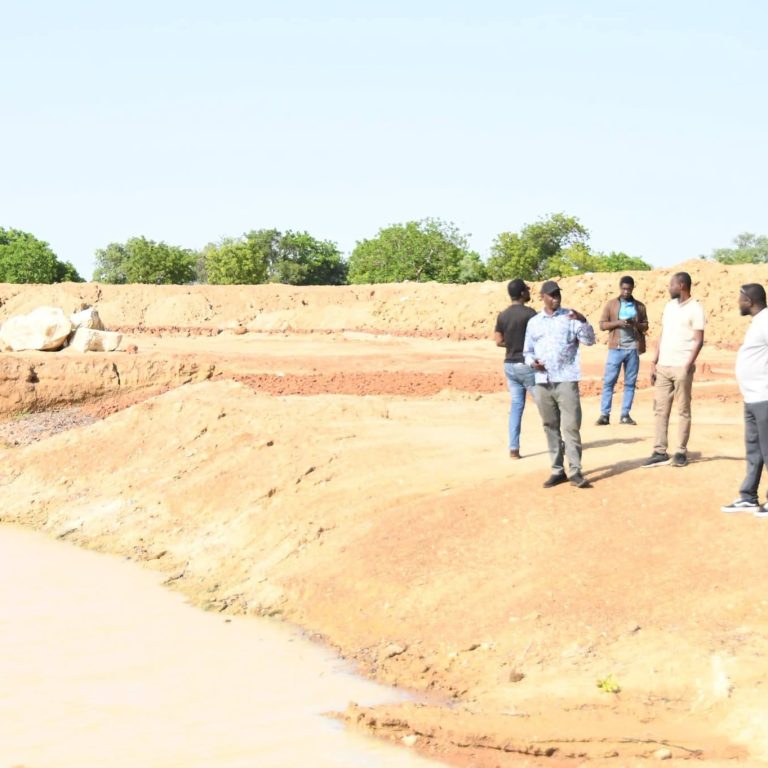 Prog Bassin Niger1